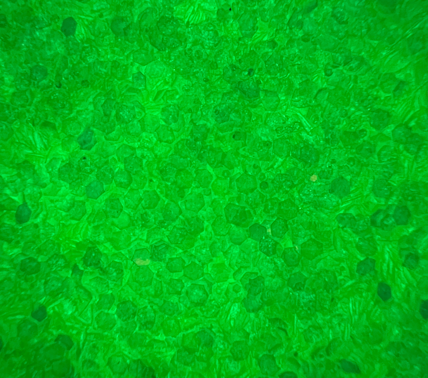 Lime Soda | Glow In The Dark - Small Chunky Glitter 56g